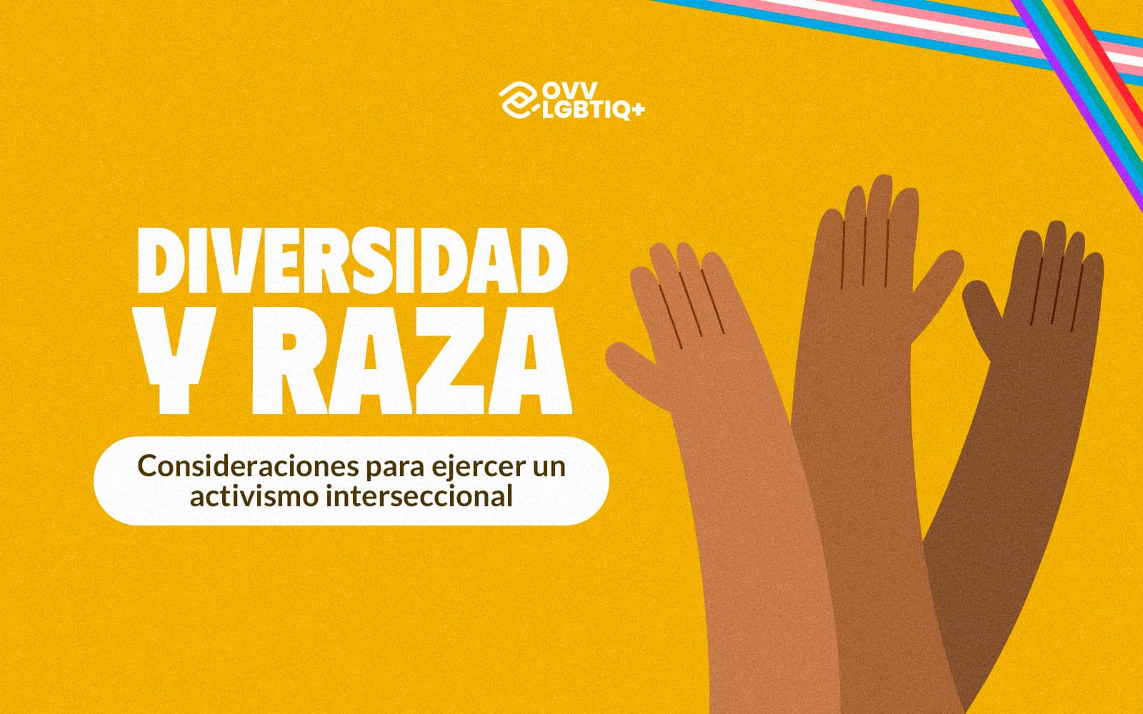 Diversidad y raza: activismo interseccional
