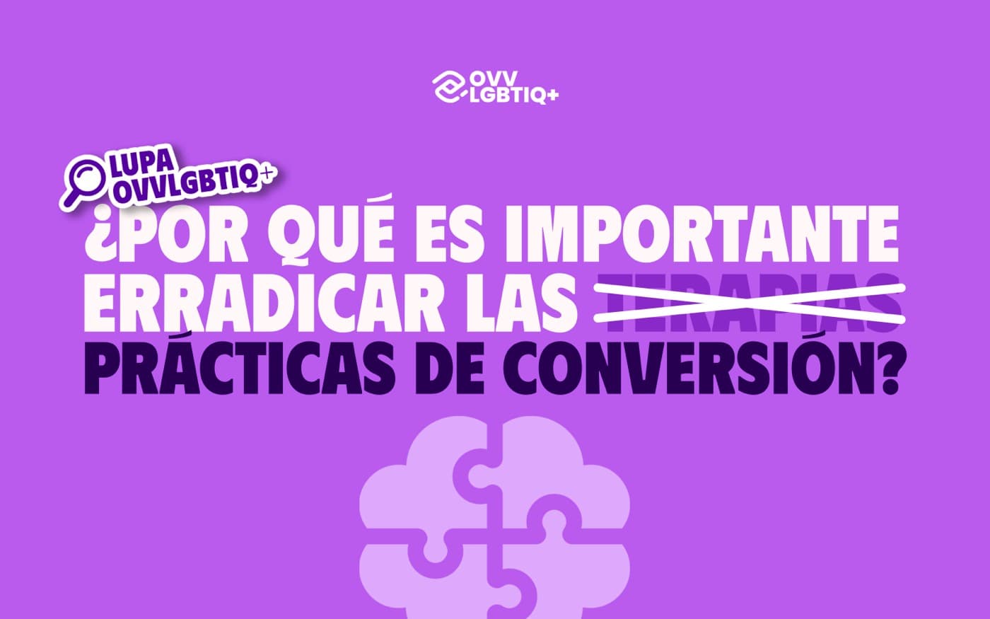 Portada · ¿Por qué es importante erradicar las terapias de conversión?